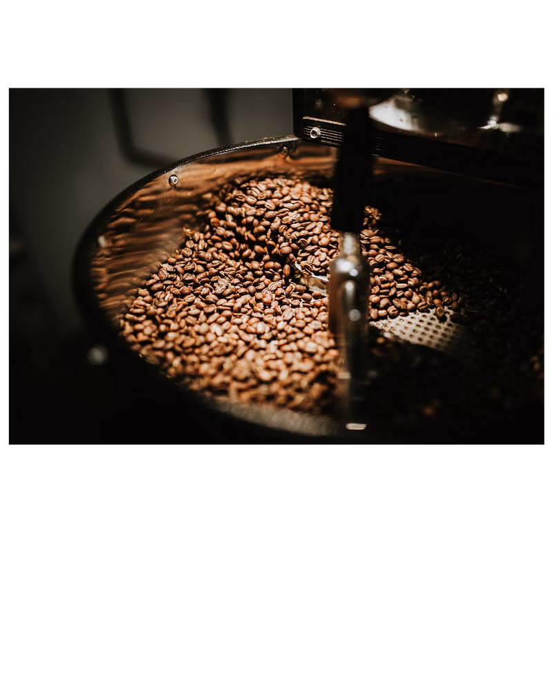 Proses roasting